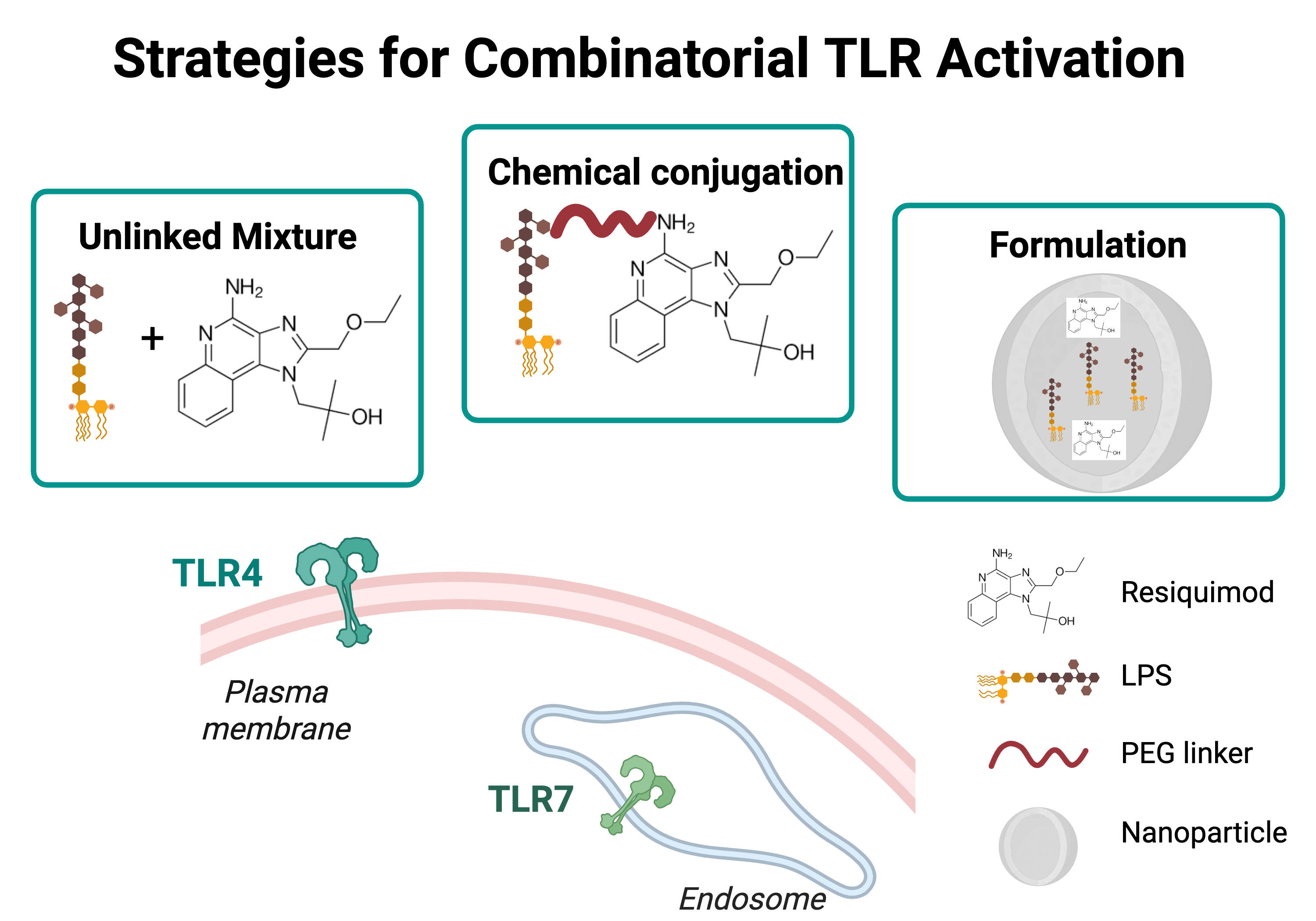 Strategies for combinatorial TLR activation: unlinked mixture, chemical conjugation, formulation