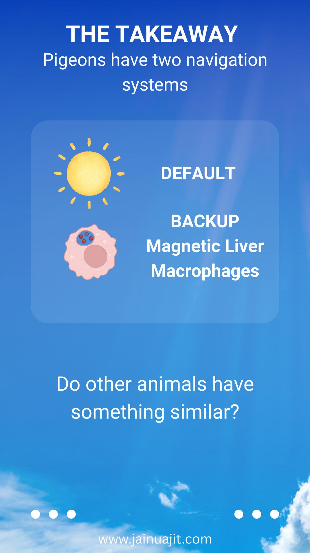 Pigeons Use Magnetic Immune Cells to Find Their Way on Cloudy Days, slide 5 of 5