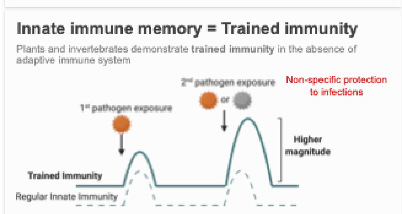 Temporal Control of Trained Immunity, slide 2 of 6