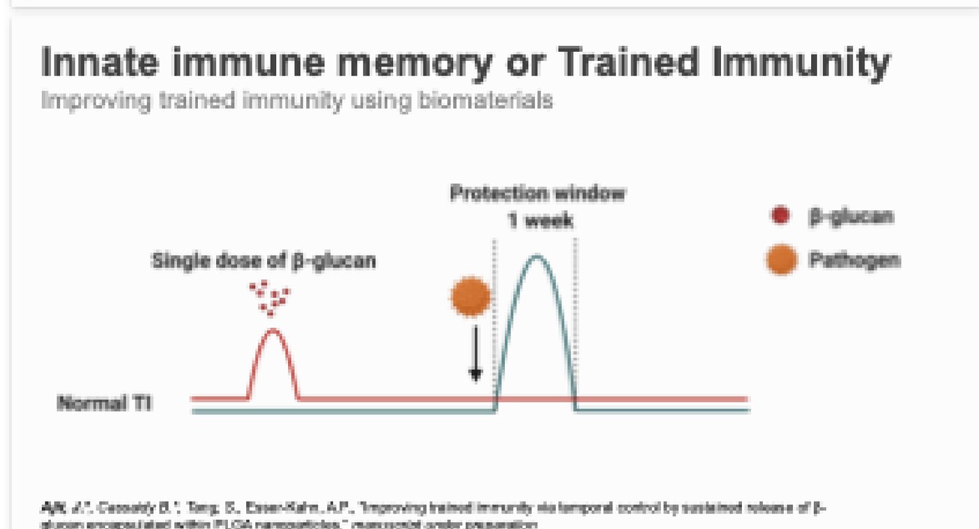 Temporal Control of Trained Immunity, slide 3 of 6